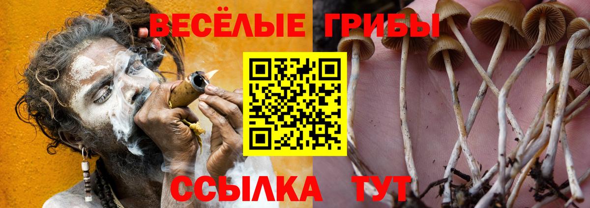 Корсаков  Псилоцибиновые грибы Magic Shrooms  Галлюциногенные грибы прущие грибы  Вход с VPN 